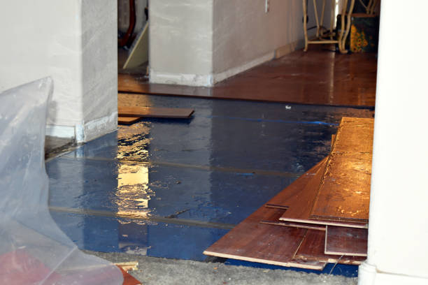 Professional Storm Water Damage Restoration technician working in Bellevue, WI